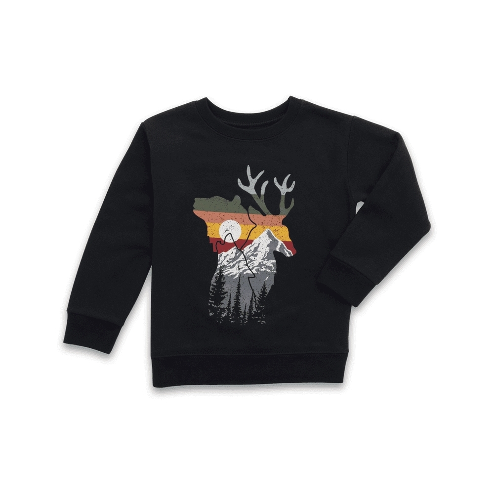 Toddler Garanimals Graphic Fleece Crew Neck Sweatshirt